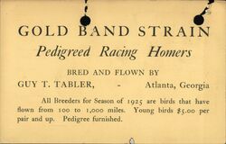 1925 Gold Band Strain Pedigreed Racing Homers Dallas 7123 Pigeon Postcard