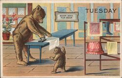 Two Bear Cubs Doing Laundry, Tuesday, Days of the Week Postcard