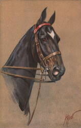 Black Horse Head with Bridle Postcard