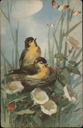 Two Baby Birds in Nest, Butterflies, Flowers Postcard