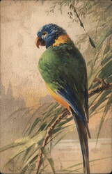 Colorful Parrot Perched on a Branch Postcard