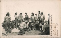 Group of Men Shooting Craps Postcard