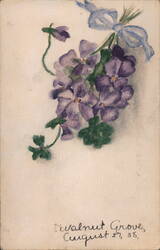 Purple Violets Tied with Blue Ribbon, Walnut Grove MO Aug 27 1905 Postcard