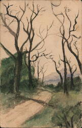 Dirt Road Through Bare Trees Postcard