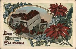 Merry Christmas From California Oranges Postcard Postcard