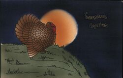 Thanksgiving Greetings Turkey Postcard Postcard