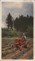 Man Driving Allis-Chalmers Model B Tractor in Field Farming Postcard Postcard Postcard