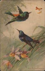 Two Hummingbirds and Butterflies near Orchids C. Klein Postcard Postcard Postcard