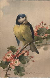 Vintage Postcard - Blue Tit Bird on Flowering Branch Postcard