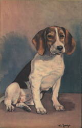 Beagle Hound Puppy Dog Alma Postcard No. 304 Vintage Postcard