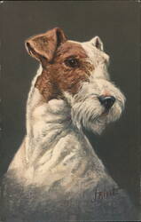 Fox Terrier Dog Portrait Vintage Postcard J Birist Postcard