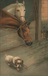 Two Horses and a Bulldog Postcard