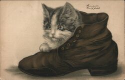 Kitten in a Boot Postcard