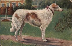 Borzoi, Russian Wolfhound Dog Pink Bow Dogs L. Levy Postcard Postcard Postcard