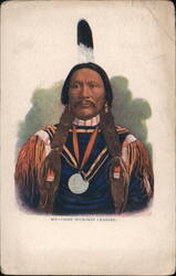 Chief Buckskin Charley, Native American Native Americana Postcard Postcard Postcard