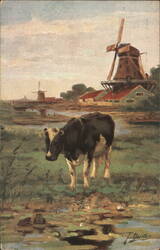 Cow in Field with Windmills, Holland Postcard