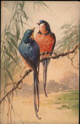 Two Birds on a Branch Postcard