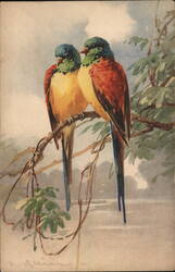 Two Colorful Birds Perched on a Branch Postcard