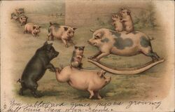 Pigs and Piglets Playing on a Seesaw Postcard