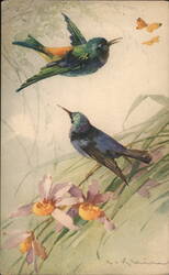 Two Colorful Hummingbirds with Flowers and Butterflies Postcard