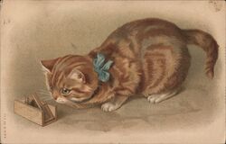 Kitten & Mousetrap, Blue Ribbon Postcard