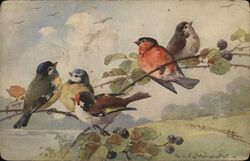 Five Birds Perched on Branches with Berries Postcard