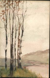 Watercolor Painting of Birch Trees by a River Postcard