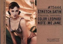 Stretch Satin Leopard Lingerie Vassarette Postcard