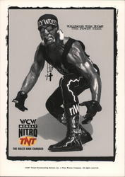 WCW Monday Nitro TNT Hollywood Hulk Hogan The Power Flex Rack Cards Postcard Postcard Postcard