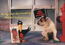 Corn Nuts Winky the Crow Advertising Postcard