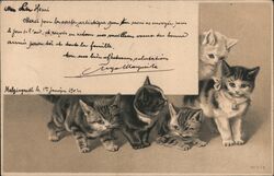 Five Kittens Postcard