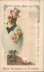 Chick in Top Hat & Tails Easter Postcard Postcard