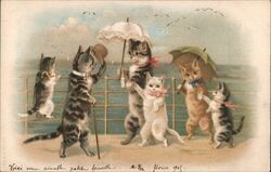 Family of Cats with Umbrellas and Hats by the Sea Postcard