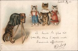 Three Kittens in Clothes, Photographer Cat, French Postcard Postcard