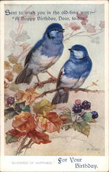 Two Bluebirds, Blackberries, Flowers, Birthday Greeting Postcard