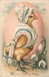 Chick in Bonnet & Dress, Snowdrops, Easter Greetings Postcard