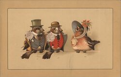 Three Birds Dressed in Fancy Clothes Postcard