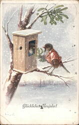 Vintage New Year's Postcard - Birds in Winter Postcard