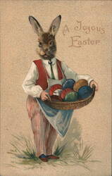 Anthropomorphic Rabbit in Apron Holding Easter Eggs Postcard