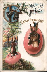 Easter Greetings, Rabbit Hatching from Egg Postcard