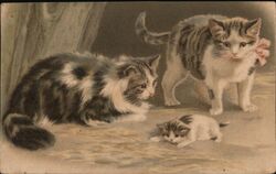 Three Cats, Two Tabby & White, One Kitten Postcard