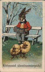 Easter Bunny Playing Accordion for Chicks Postcard