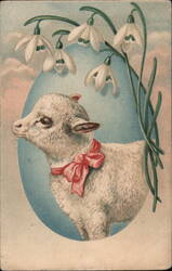 Easter Lamb with Pink Bow and Snowdrops With Lambs Postcard Postcard Postcard