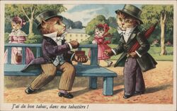 Anthropomorphic Cats, Snuff Box, Park Bench Postcard