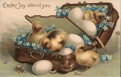 Easter Chicks and Eggs in Suitcase Postcard