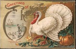 Greetings of Thanksgiving, White Turkey, Pilgrims, Ship Postcard