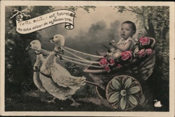 Baby in Goose-Drawn Carriage, Verlay France, Sepia Photo Postcard Postcard