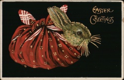 Easter Bunny in Red Cloth, Embossed, Vintage Postcard 1918 Postcard