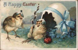 Happy Easter Chicks in Eggshell - Vintage Holiday Postcard With Chicks Postcard Postcard