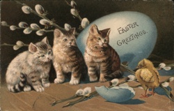 Three Kittens & Chick with Easter Egg - Vintage Easter Greeting Postcard